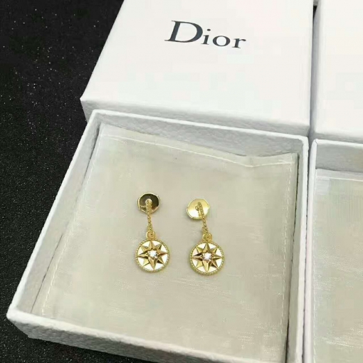 偽物ディオール ピアス 2024新作 DIOR ヴィンテージ 流行のピアス dred17804-3