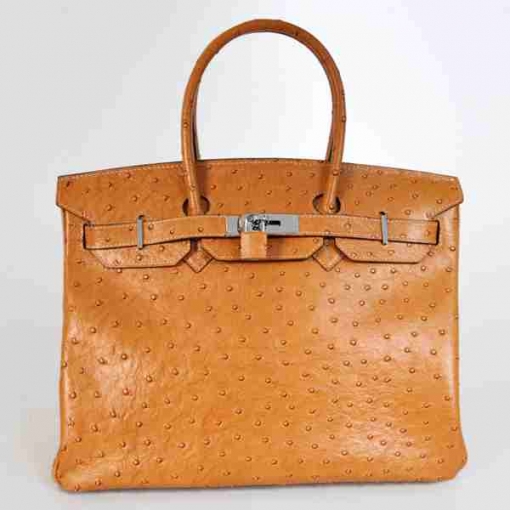 HERMES 偽物エルメス バッグ レディース オーストリッチ トートバッグ hbag35-7