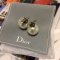 偽物ディオール ピアス DIOR 2024最新作 大人気! レディース ピアス diored1751495