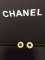 シャネルコピー ピアス CHANEL 2024春夏新品 レディース 上質で ピアス chearrings160714-8