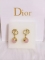 ディオールコピー ピアス 2024春夏新作 DIOR 超美品! レディース ピアス drearrings160805-6